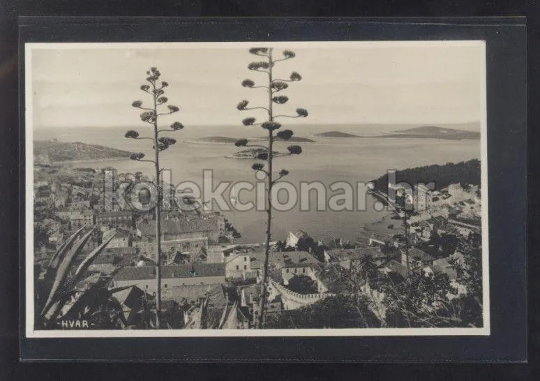 Fotografija proizvoda
