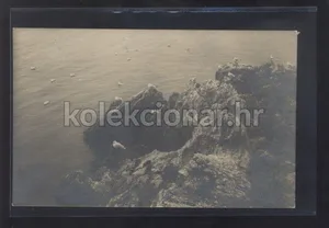 Fotografija 1