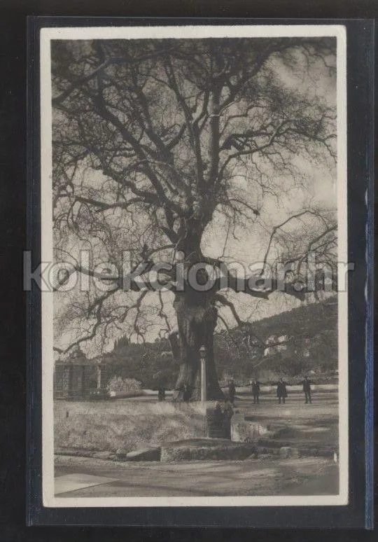 Fotografija proizvoda