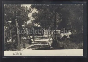 Fotografija 1