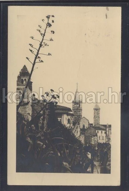 Fotografija proizvoda
