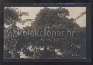 Fotografija 1