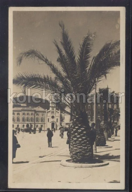 Fotografija proizvoda