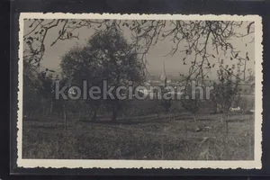 Fotografija 1