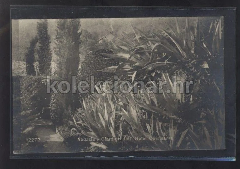 Fotografija proizvoda