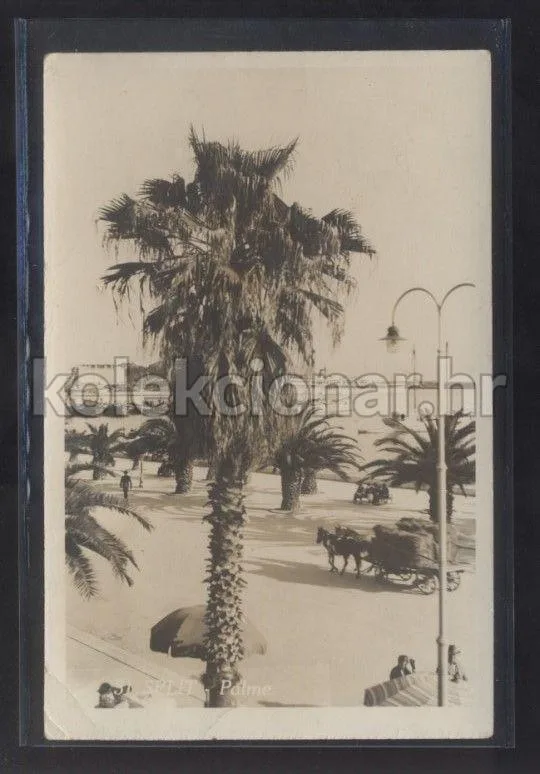 Fotografija proizvoda