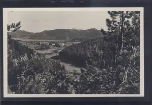 Fotografija 1