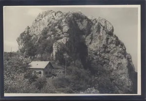 Fotografija 1