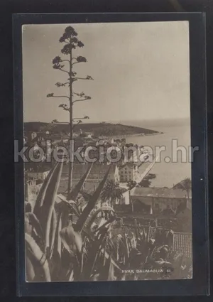 Fotografija 1