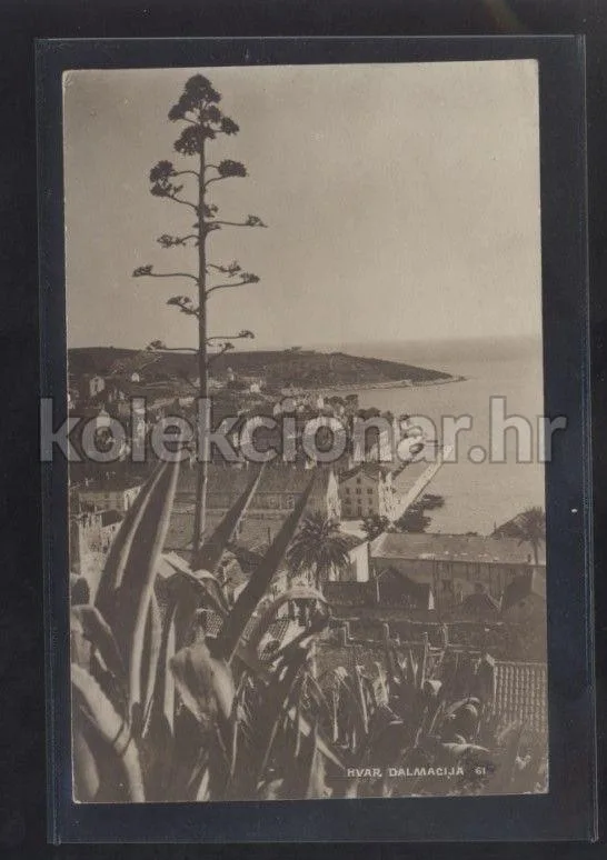 Fotografija proizvoda