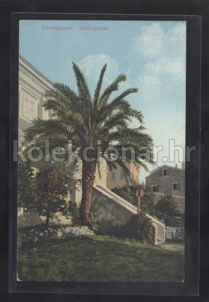 Fotografija 1