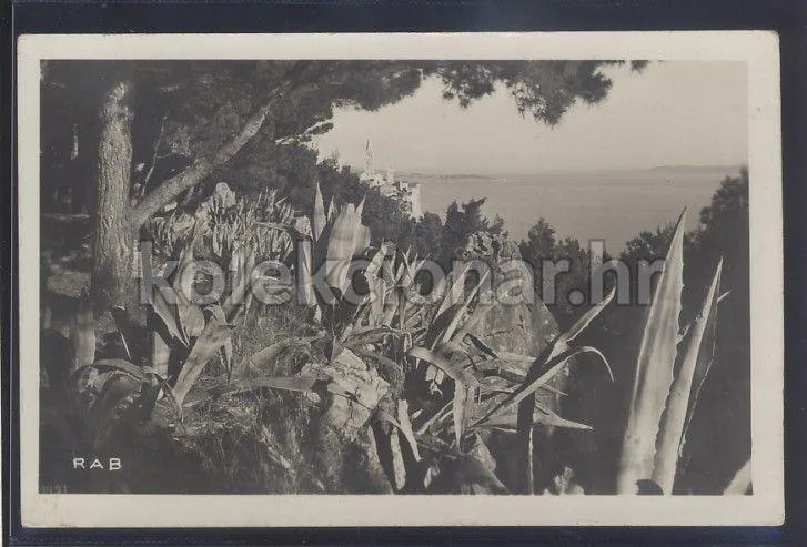 Fotografija proizvoda
