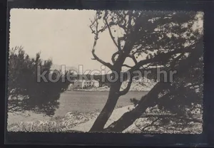 Fotografija 1