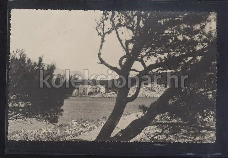 Fotografija proizvoda