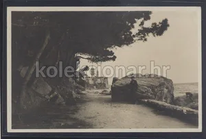 Fotografija 1
