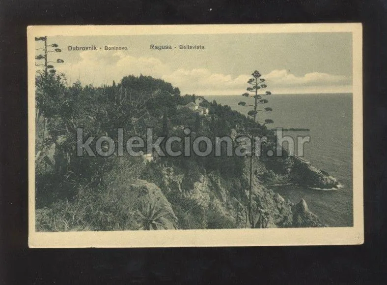 Fotografija proizvoda