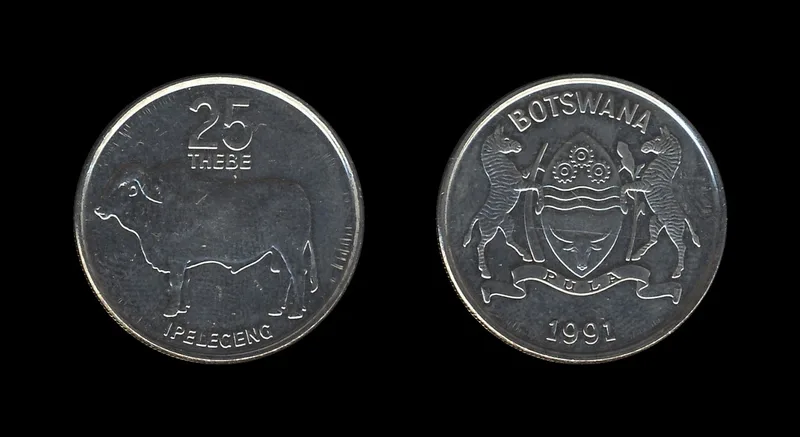 Fotografija proizvoda