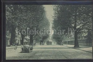 Fotografija 1