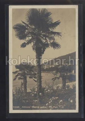 Fotografija 1