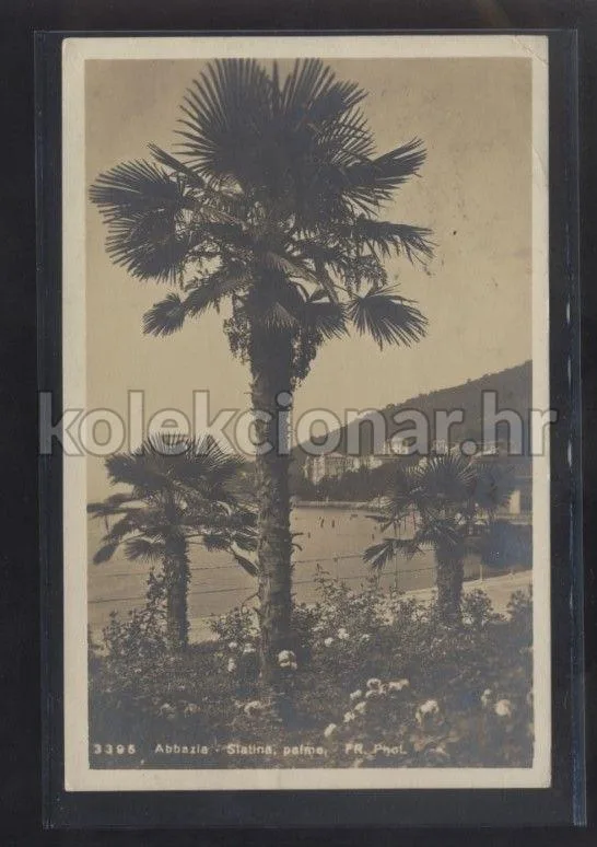 Fotografija proizvoda