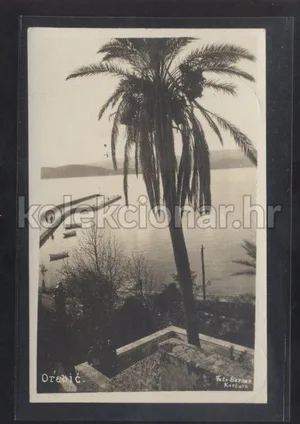 Fotografija 1