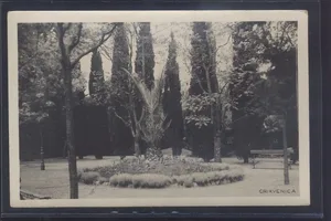 Fotografija 1