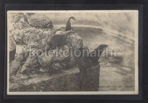 Fotografija 1