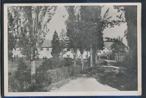 Fotografija 1