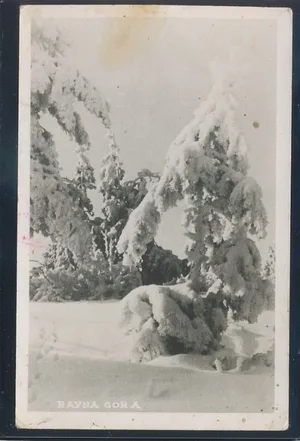 Fotografija 1