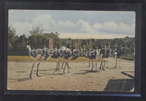 Fotografija 1