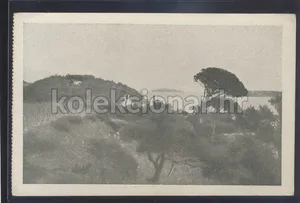 Fotografija 1
