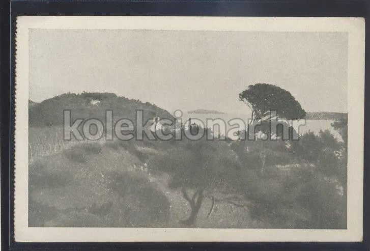 Fotografija proizvoda