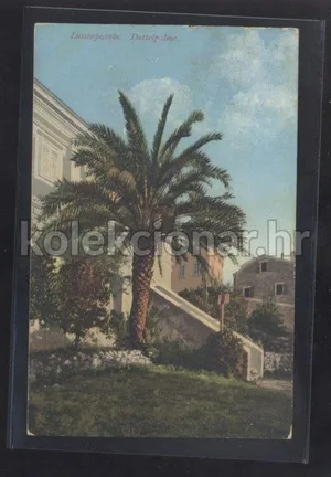 Fotografija 1