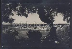 Fotografija 1