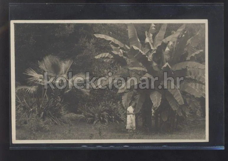 Fotografija proizvoda