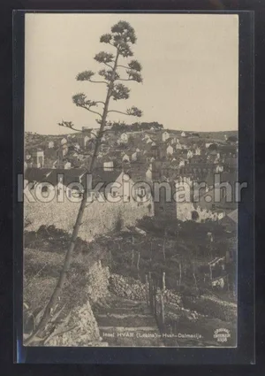 Fotografija 1