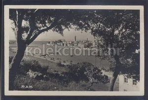 Fotografija 1