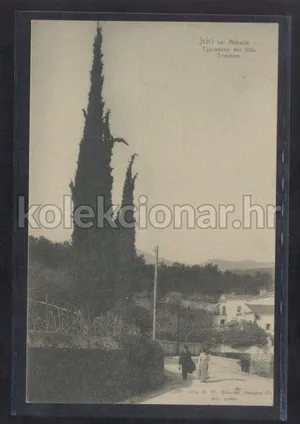 Fotografija 1