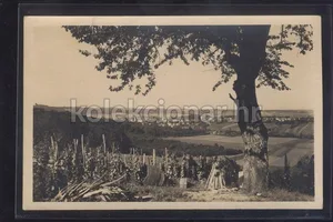 Fotografija 1
