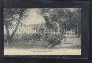Fotografija 1