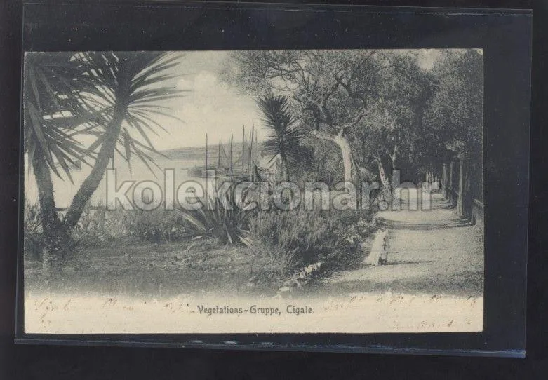 Fotografija proizvoda