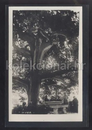 Fotografija 1