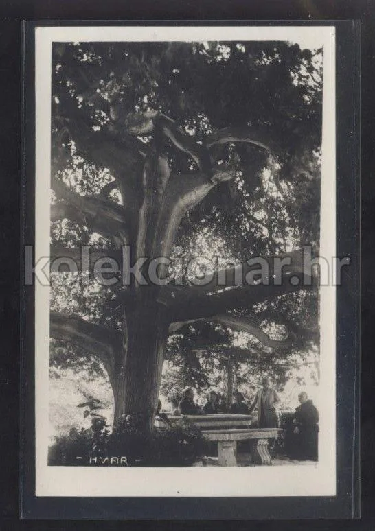 Fotografija proizvoda