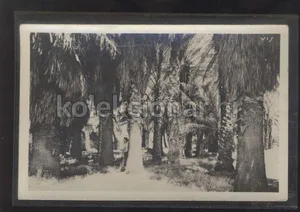 Fotografija 1