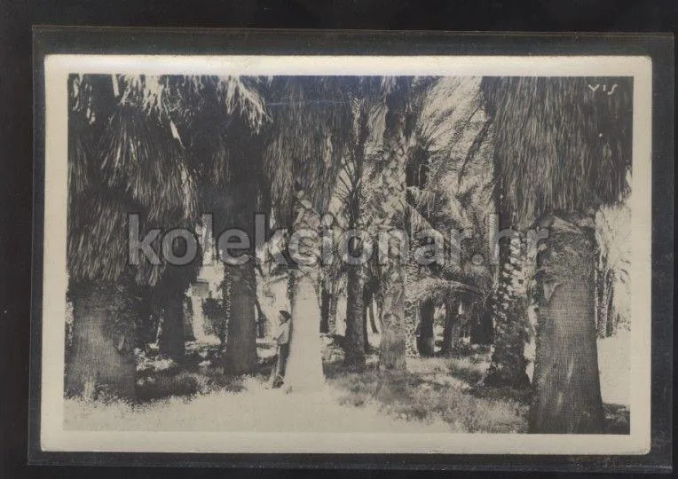 Fotografija proizvoda