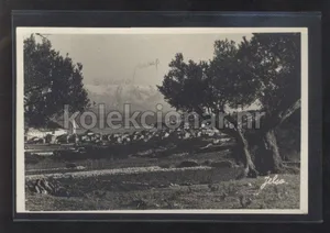 Fotografija 1