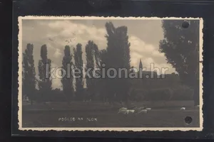 Fotografija 1