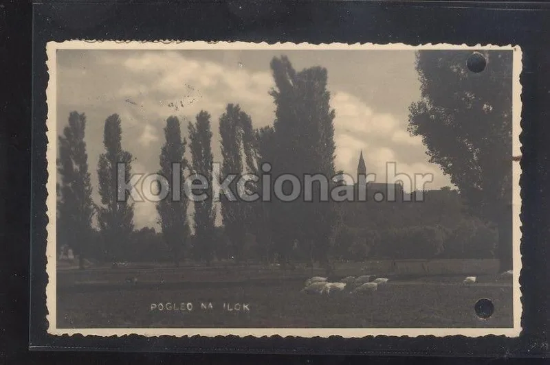 Fotografija proizvoda