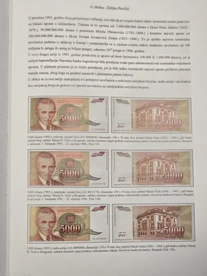 Fotografija 7