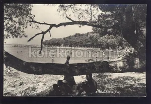 Fotografija 1